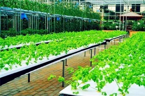 榆林十二县最美的乡镇,榆林最美的乡村排名