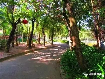 金砂公园有什么玩的,金砂公园