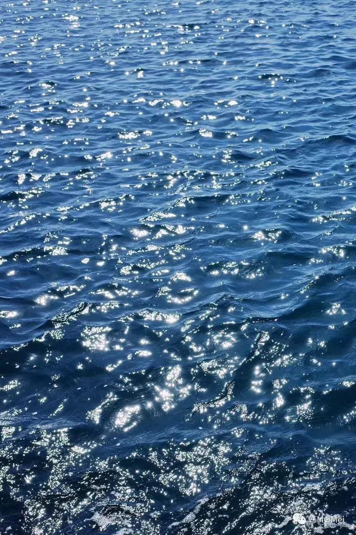 Trip丨如何在济州岛练就“济州瘫”（下部）