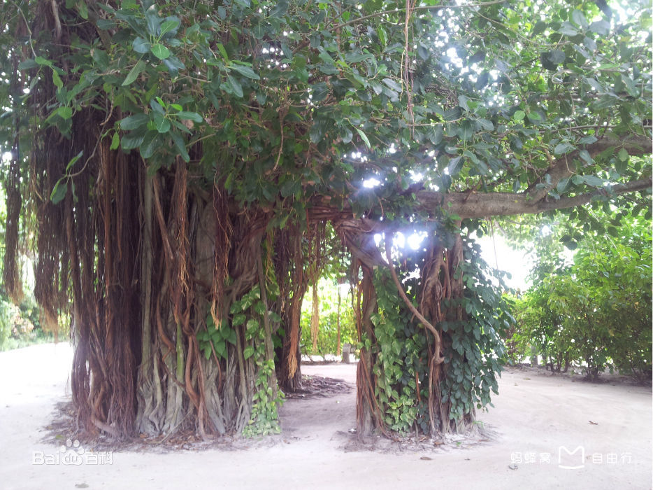 满月岛旅游攻略,满月岛和马尔代夫岛哪个好