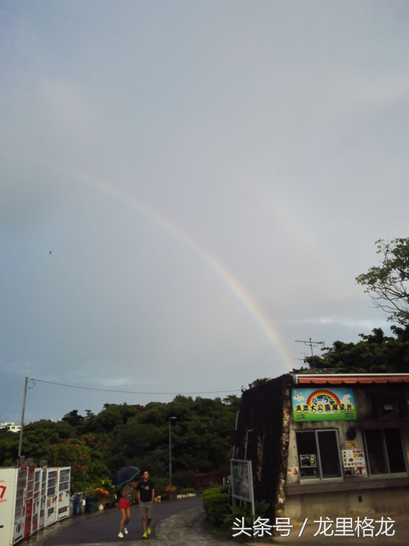 去日本真实的感受,去冲绳的感受