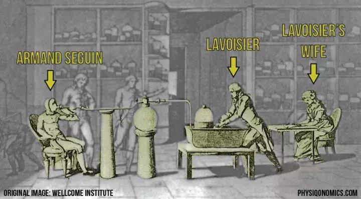 食物卡路里表大全减肥,减肥各种食物卡路里表