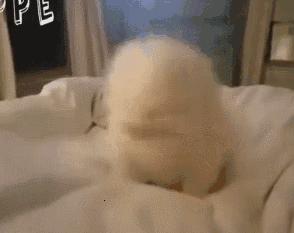 腰椎病护腰小妙招,做过腰椎手术的腰怎样保护