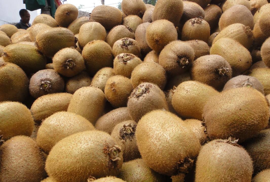 野生猕猴桃有多么可怕,真正的野生猕猴桃了解一下