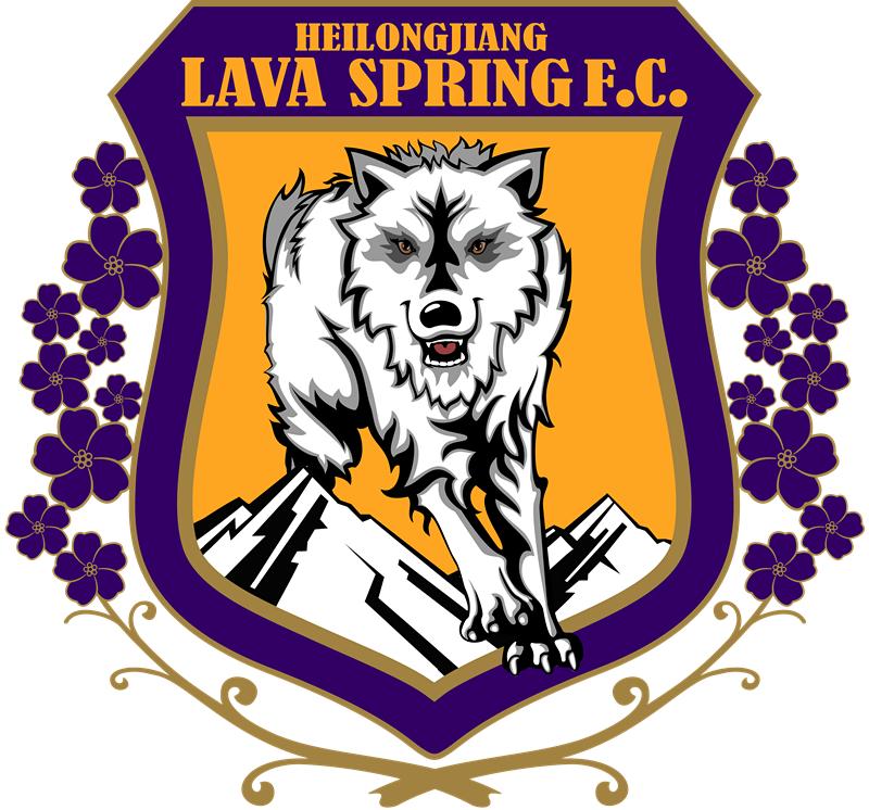 哈尔滨足球的前世今生,哈尔滨足球队最厉害的