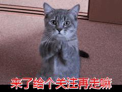 塔山不倒我不倒，兰州的那位老大哥没抽过它？抽烟也算一种情怀！