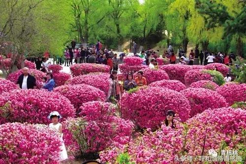 大家好这是我的家英文,大家好这是我的家图片卡通