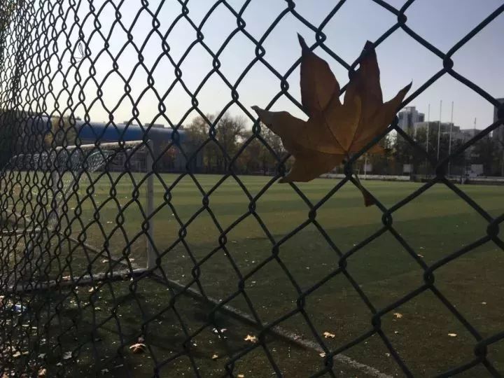 天津体育学院卫津南路51号,再见了天津视频