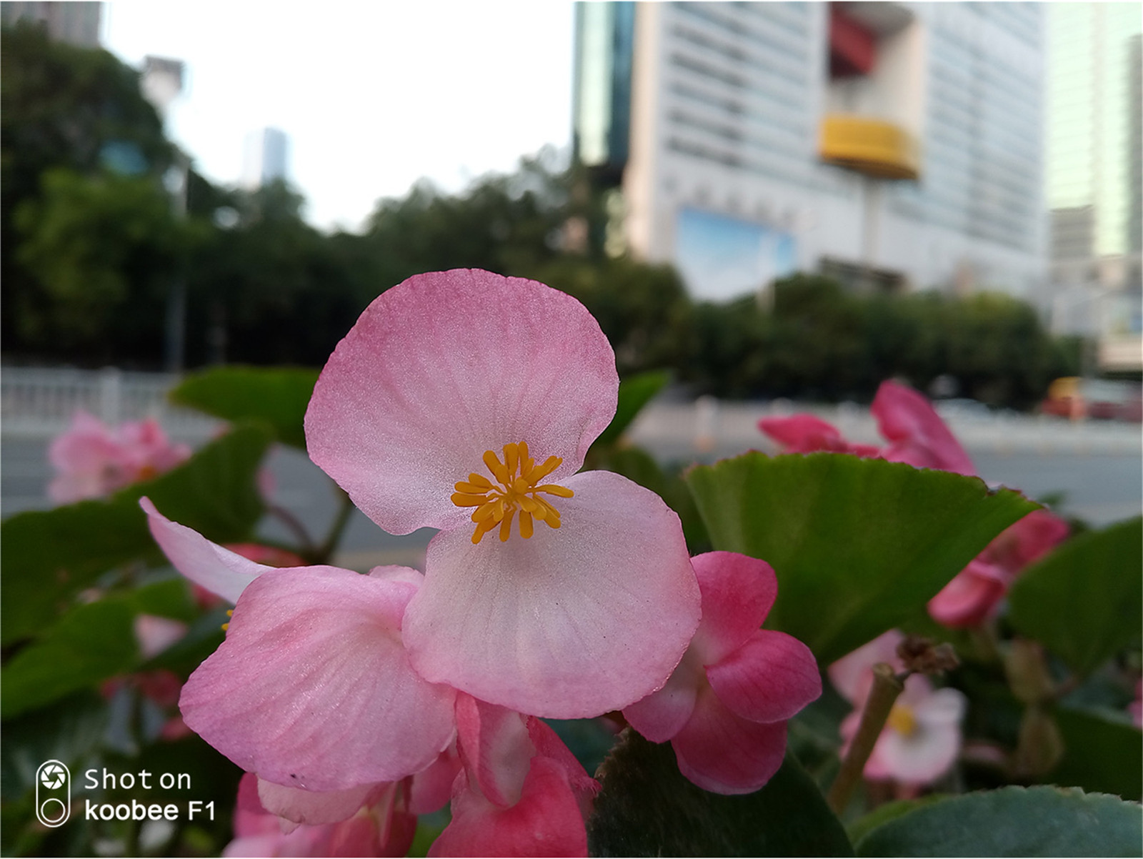 虹软算法视频,虹软算法属于什么水平