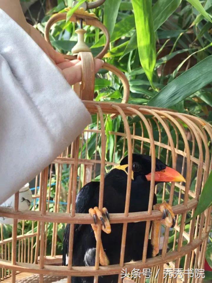 黄帝内经立冬如何养生,黄帝内经立冬后养生