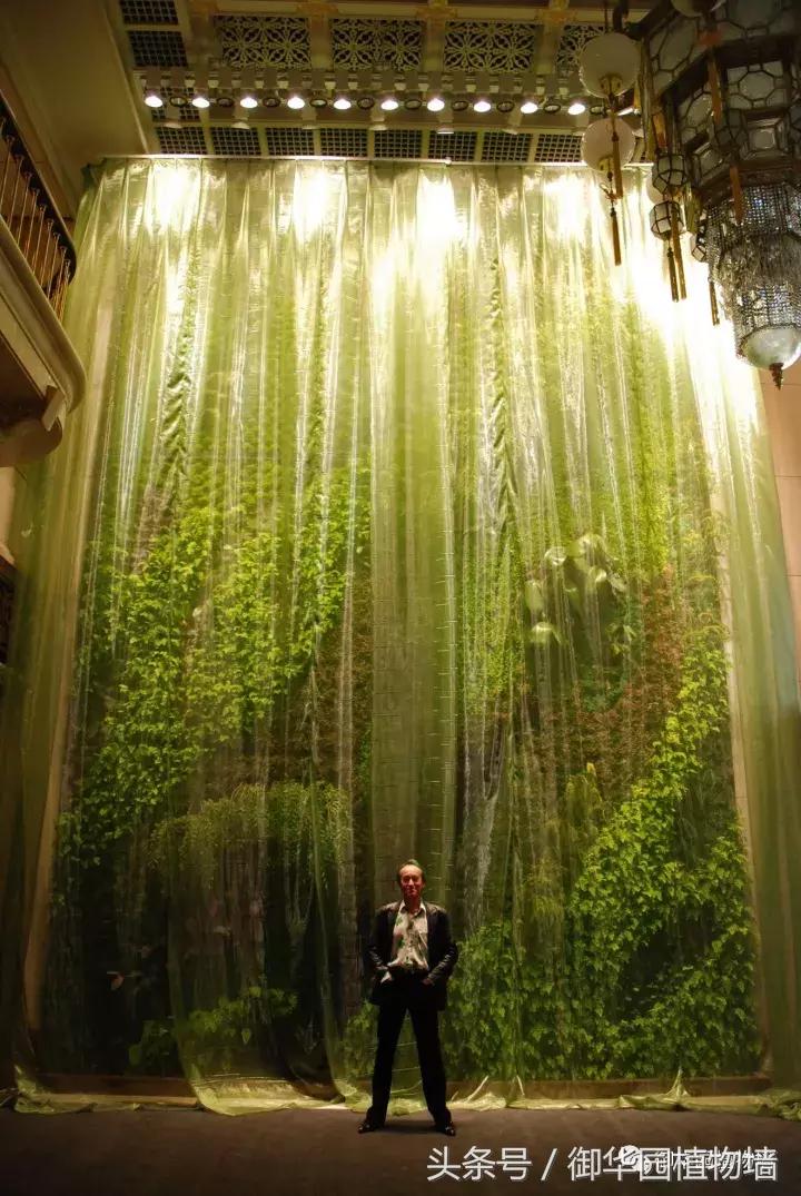 植物大战僵尸之父是中国人,植物墙创始人