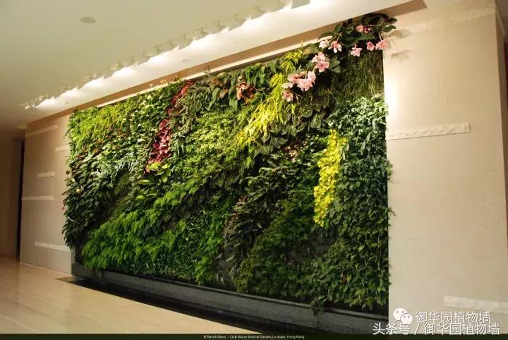 他曾说过：每一面植物墙都是一个花园……