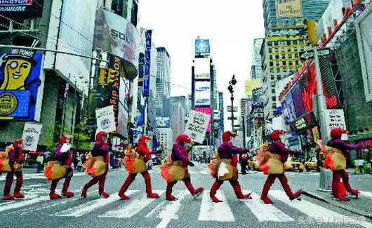 感恩节活动主题,小学感恩节活动主题