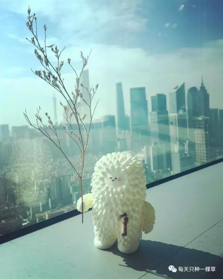 双十一你买什么最划算,双十一你们都买啥推荐一下