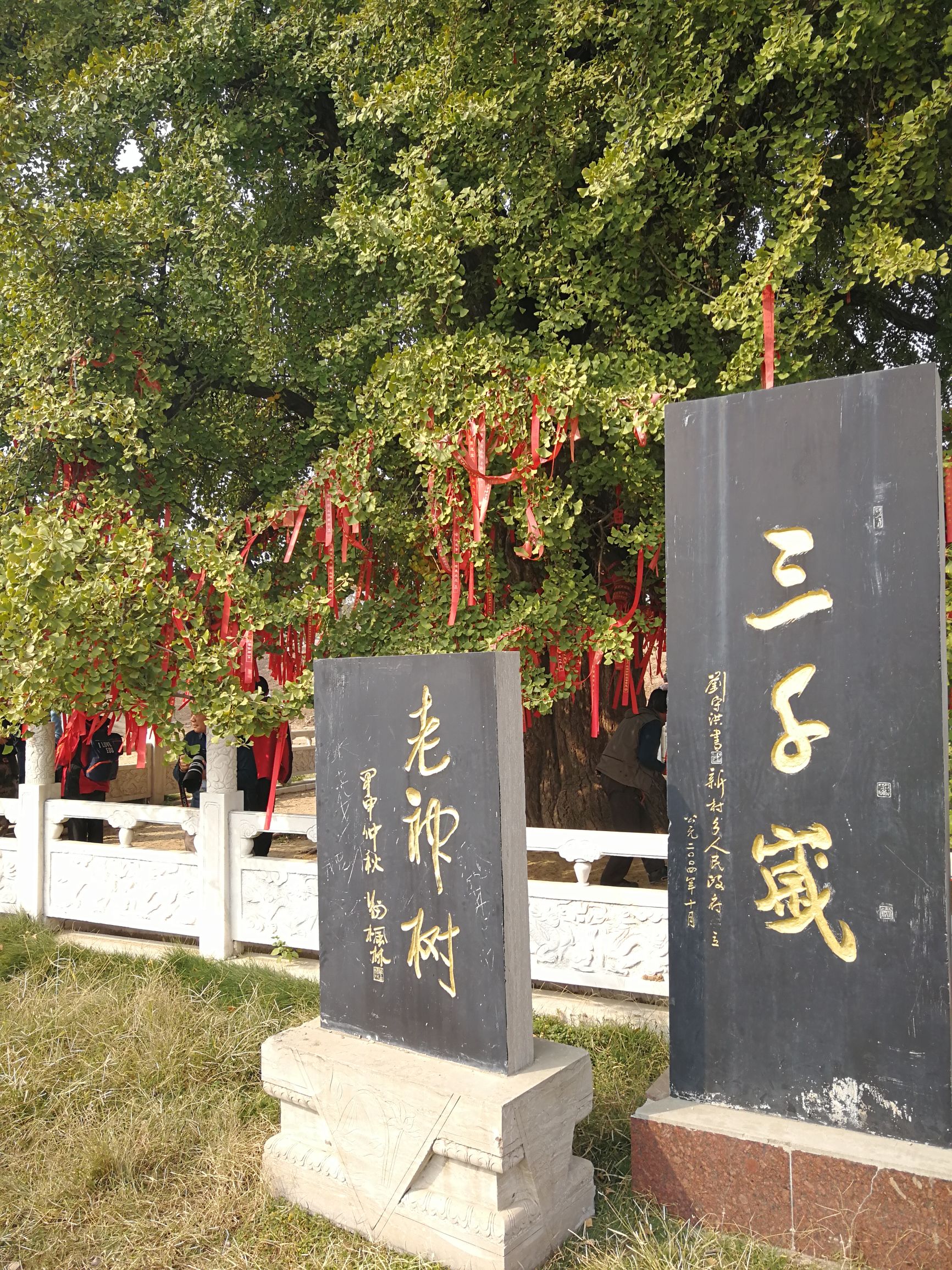 关于代森锰锌你到底了解多少,关于槲皮素你了解多少