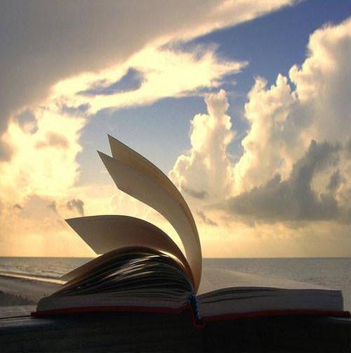 读书有道学会思辨,读书有道好文