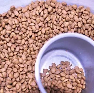 测一测你家狗能活多久!