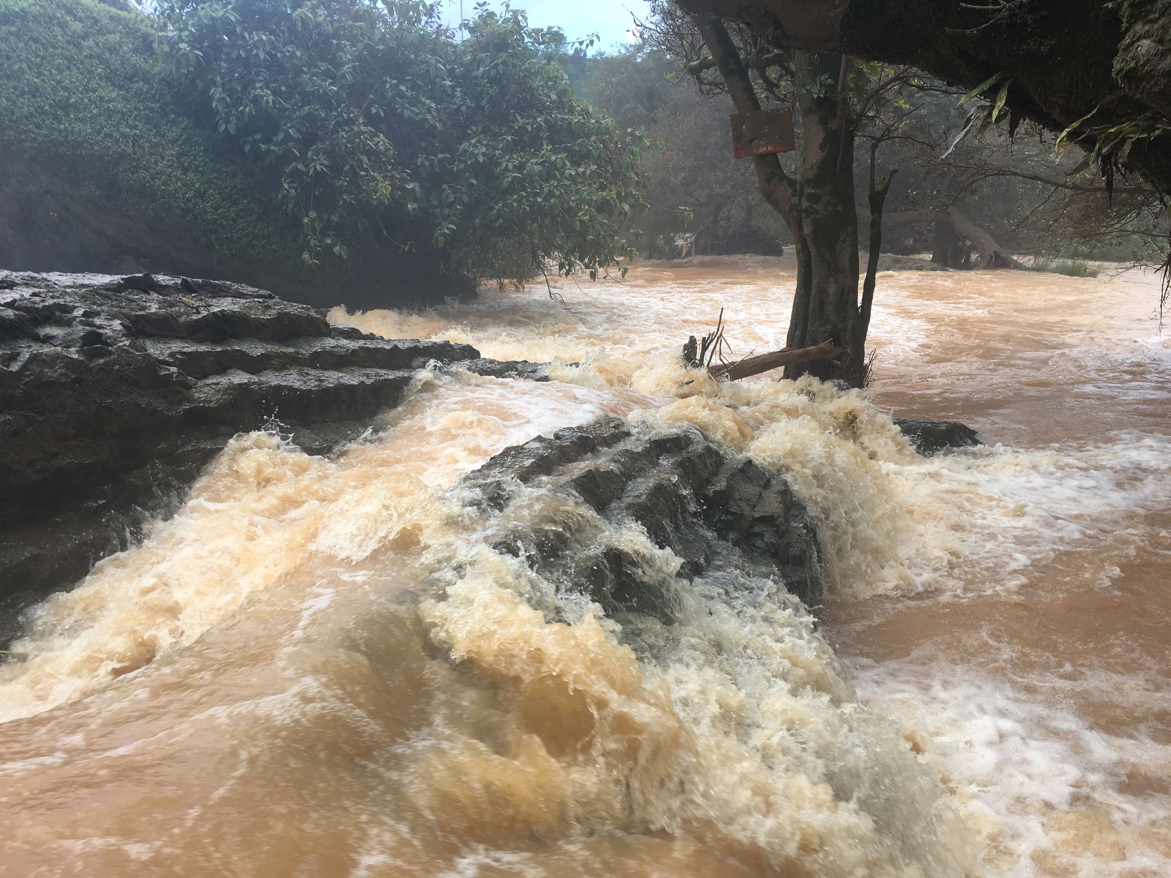 分享越南旅游攻略,越南大叻网红景点