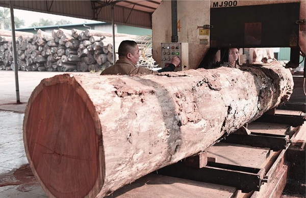 如何分辨缅甸花梨的家具的真假,缅甸花梨最简单鉴别方法