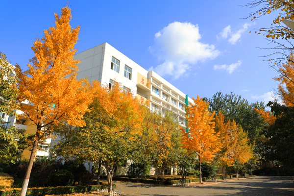 美翻了，在昌乐二中，你会经历不一样的秋