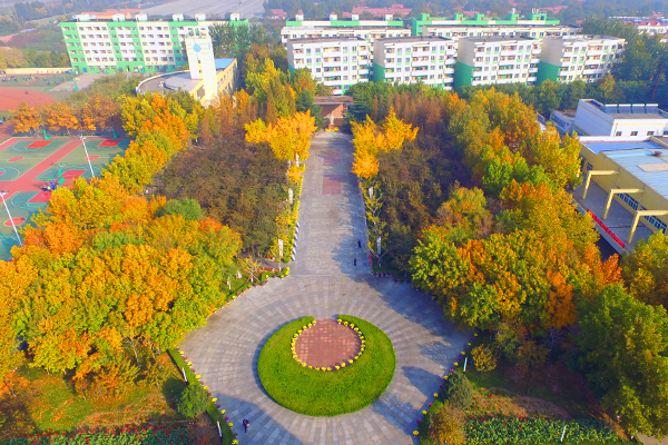 美翻了，在昌乐二中，你会经历不一样的秋