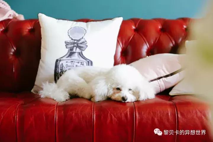 小户型衣帽间浴缸一体,浴缸衣帽间装修10平方米