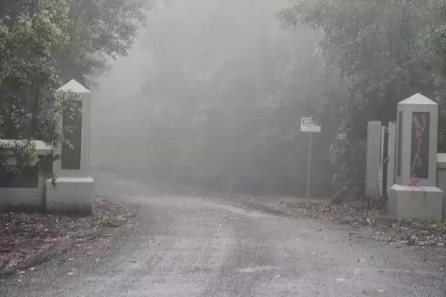 禁止携带或托运入境的物品,禁止携带入境的物品清单