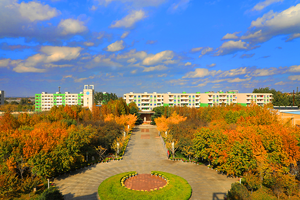 美翻了，在昌乐二中，你会经历不一样的秋