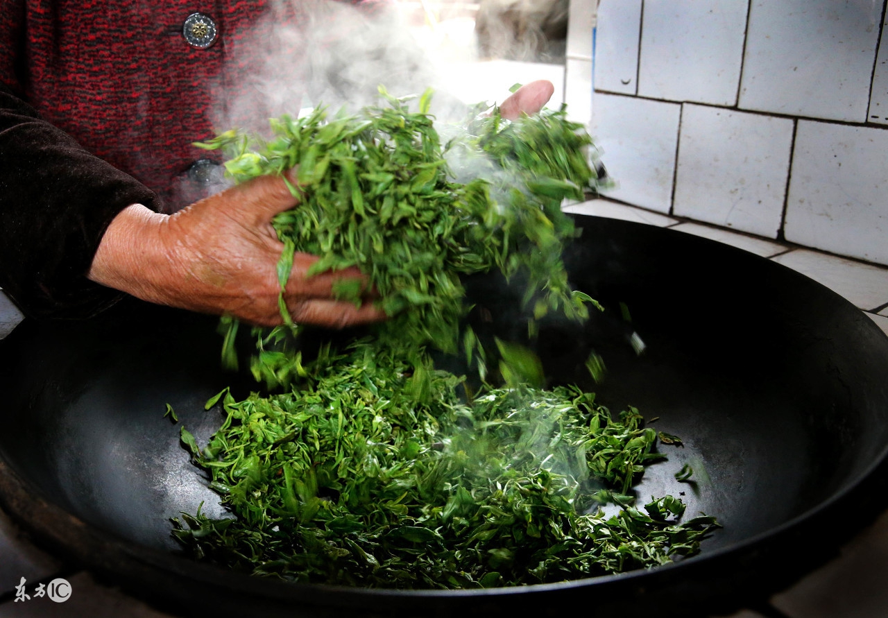 绿茶的杀青和干燥方法有什么不同,手工绿茶杀青怎样保留茶香