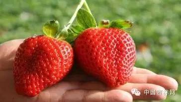 吉林暑假旅游自驾攻略,国庆吉林自驾游必去的十个景点