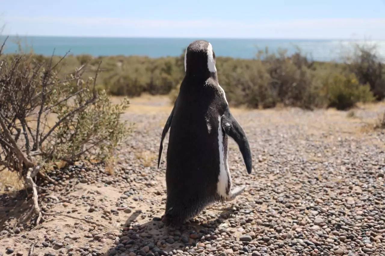 看完马上路转粉，比踩球还激烈的摄影选秀大赛~