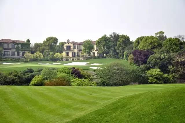 观赏性最好的草坪,大型的景观草坪