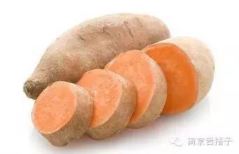 养肤护肤的食物,十大美肤食物排行