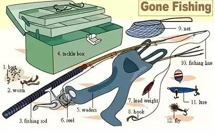 最常用的英语单词汇总表,史上最全英语词汇图