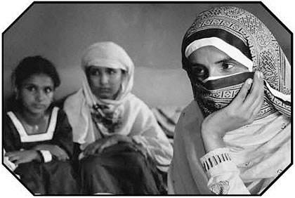 知性女人的书籍推荐,知性女人读哪些书