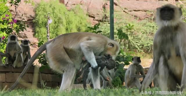 这34个间谍，每天只干一件事：*窥偷**！还拍成电影全球上映？