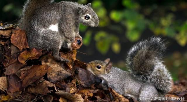 这34个间谍，每天只干一件事：*窥偷**！还拍成电影全球上映？