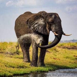 纽约时报全球50个必去之地,纽约时报最佳旅游省份