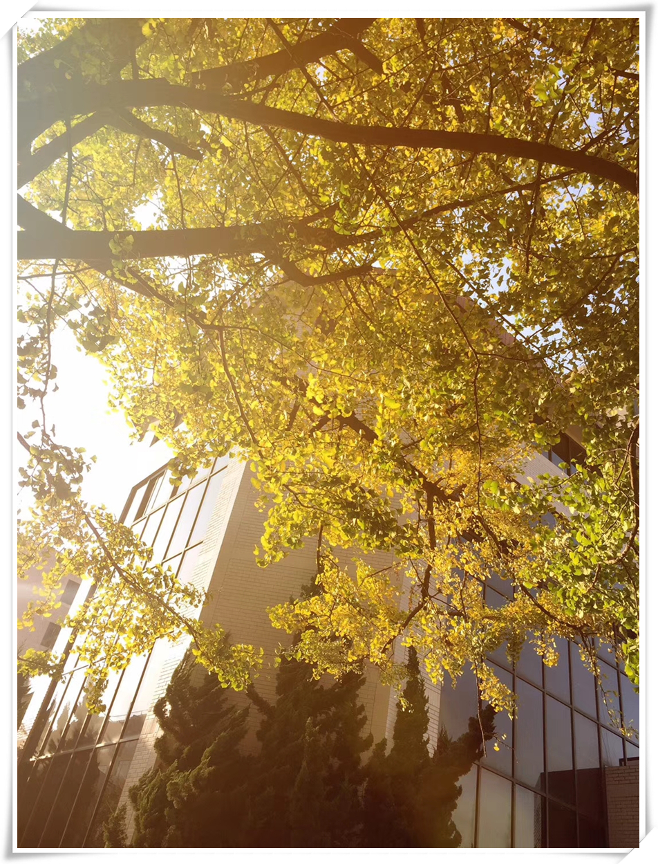 科普天空为什么是蓝色,关于天空的科普短视频