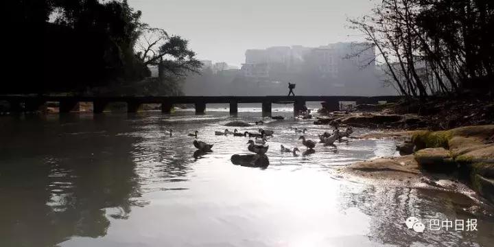 恩阳古镇推荐,恩阳古镇旅游景区