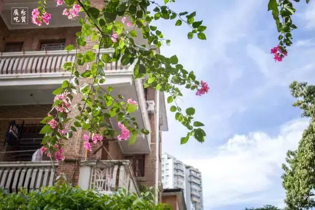 别再跟我说“母鸡”去哪玩！广州48个一日游免费景点推荐！