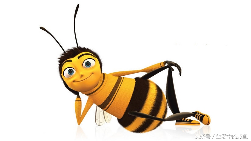 在宿舍被马蜂蛰了以后该怎么处理,被马蜂蛰了的经历