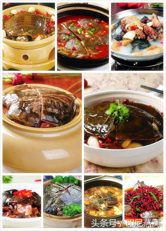 舌尖上的佛山甲鱼一鱼多吃,马来西亚美食甲鱼