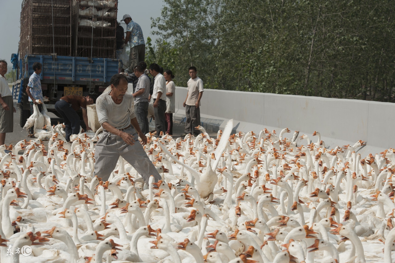 环境保护税从哪一年开始正式实施,环境保护税法从什么时候开始实施