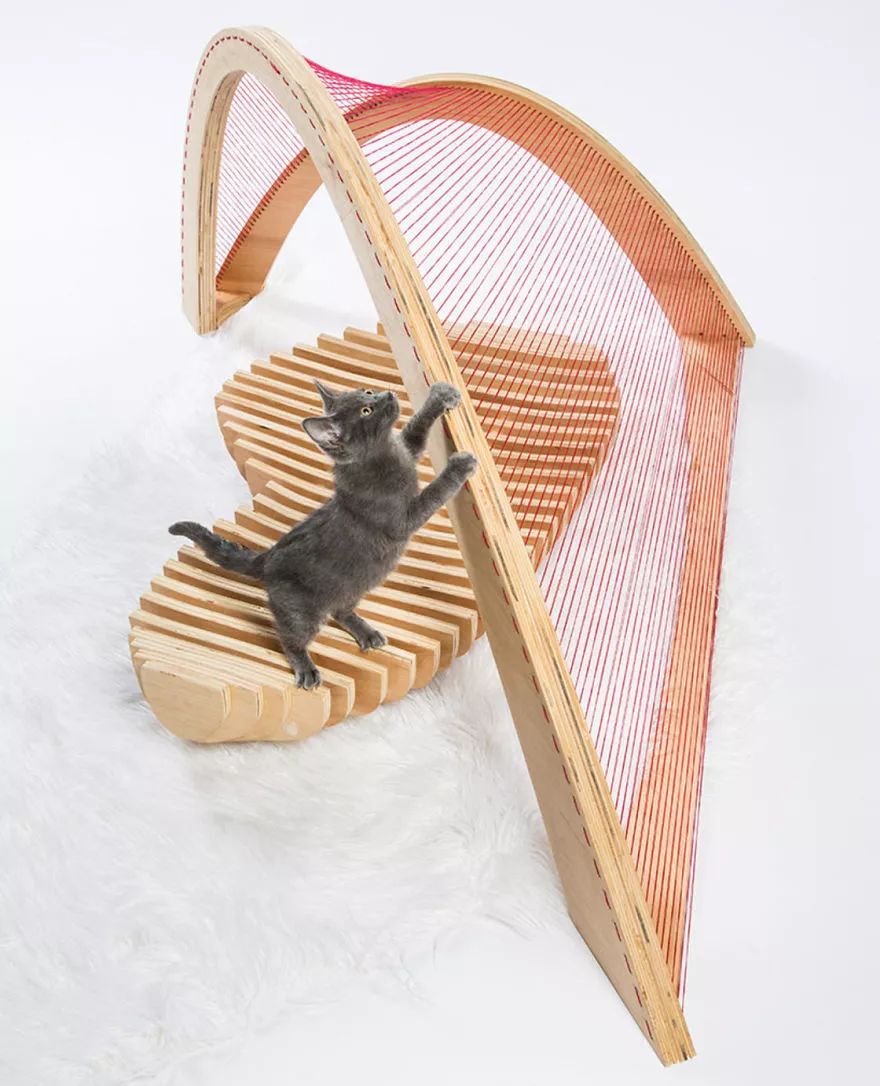 大爱！为这些百变多样的猫屋打call