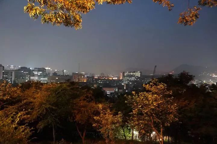 最浪漫韩国济州岛旅游攻略,济州岛浪漫幻境