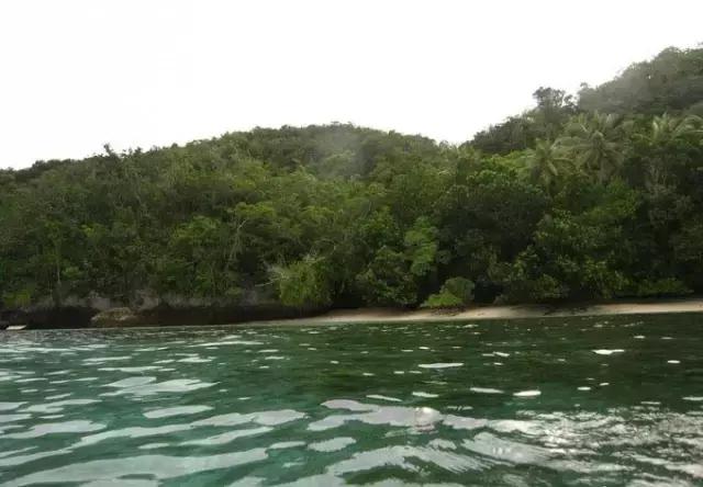 帕劳归来不看海视频,帕劳归来不看海