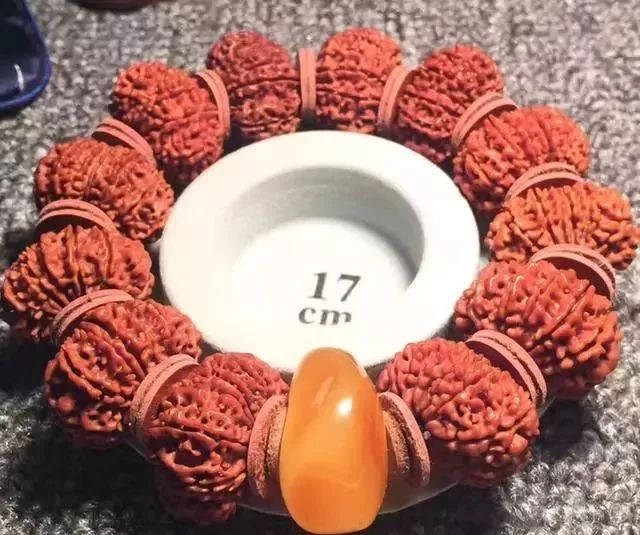 怎样区分打药的金刚菩提,金刚菩提怎么鉴别值钱