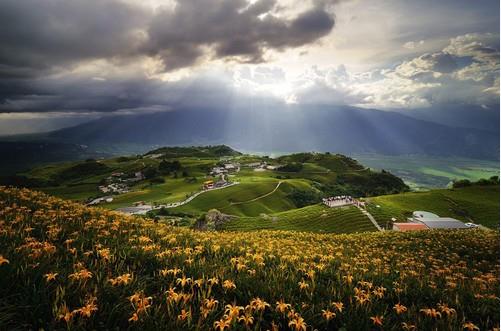 拍摄时如何使用黑卡,摄影师为什么都喜欢用反光板
