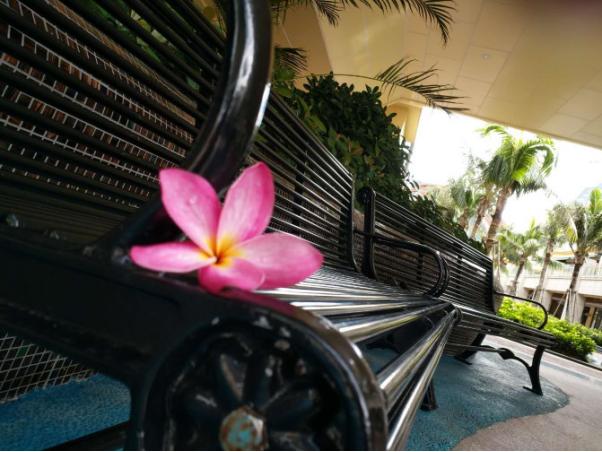 带父母去三亚游玩攻略,爸妈三亚旅游攻略